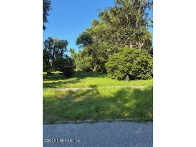 St. Johns River Lot For Sale in Green Cove Springs Florida