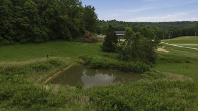 Beautiful Nolin Lake Property With Acreage, Pond, and Dock - photo 4