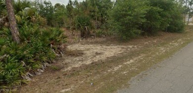 Lehigh Acres Area Lot For Sale in Lehigh Acres Florida