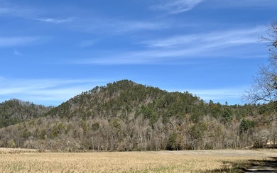 French Broad River Acreage For Sale in Del Rio Tennessee