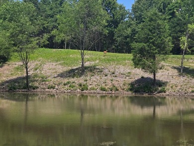 Beautiful 2.58-acre property featuring a peaceful .2-acre pond - photo 5