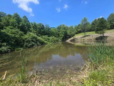 Beautiful 2.58-acre property featuring a peaceful .2-acre pond - photo 7
