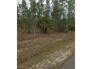 Lehigh Acres Area Lot For Sale in Lehigh Acres Florida