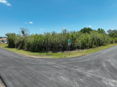 RMF10 (MULTIFAMILY DUPLEX OR TRIPLEX) CORNER LOT 0.31 ACRE. NO - photo 3
