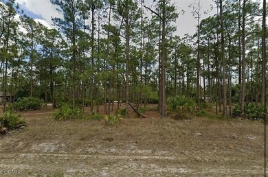 Lehigh Acres Area Lot For Sale in Lehigh Acres Florida