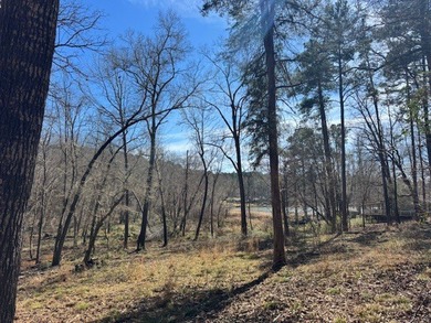 Peaceful, private lake living awaits on this beautiful 4+ acre - photo 3