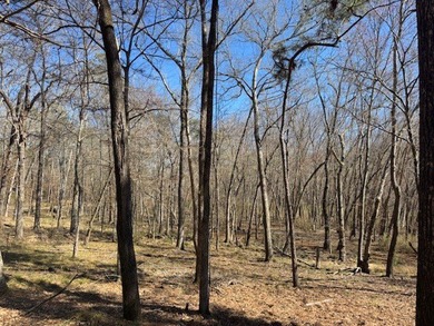 Peaceful, private lake living awaits on this beautiful 4+ acre - photo 4