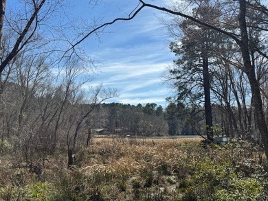 Peaceful, private lake living awaits on this beautiful 4+ acre - photo 5