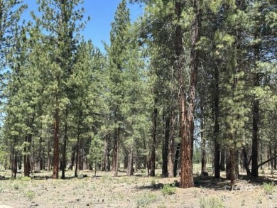 Sprague River Acreage For Sale in Chiloquin Oregon