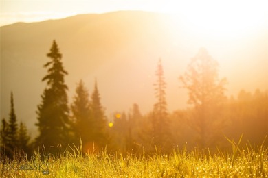 (private lake, pond, creek) Acreage For Sale in Big Sky Montana