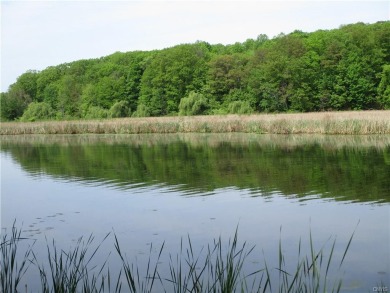 Lake Acreage Off Market in Sterling, New York