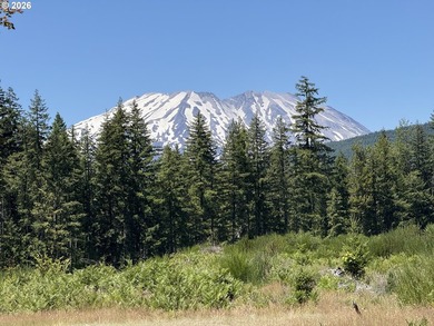 Escape to the mountains and create your own Pacific Northwest - photo 1