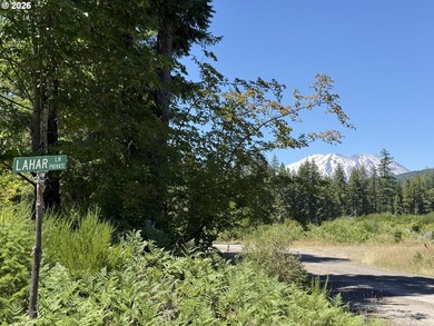 Escape to the mountains and create your own Pacific Northwest - photo 2