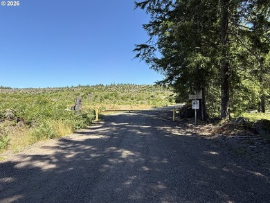 Escape to the mountains and create your own Pacific Northwest - photo 3
