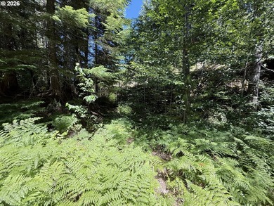 Escape to the mountains and create your own Pacific Northwest - photo 4