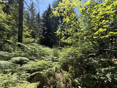 Escape to the mountains and create your own Pacific Northwest - photo 5