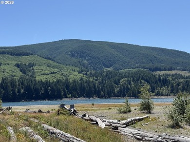 Escape to the mountains and create your own Pacific Northwest - photo 8