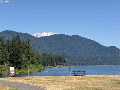 Escape to the mountains and create your own Pacific Northwest - photo 10