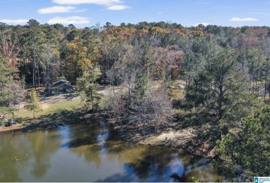 Lake Lot For Sale in Bessemer, Alabama