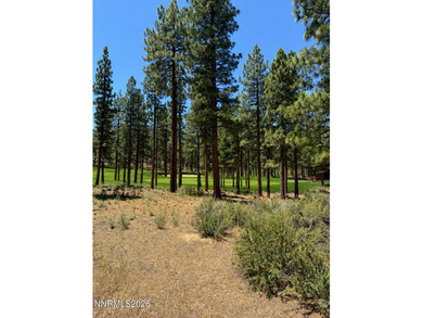 Set on nearly one-and-one-half acres with a beautifully balanced - photo 1