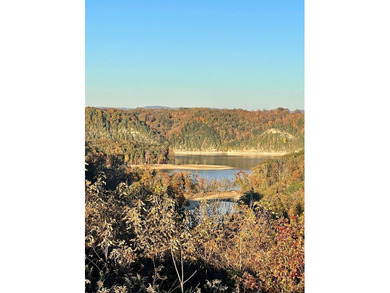 Beautiful Lakeview lot in Holly Bend Preserve gated community - photo 6