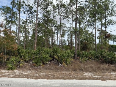 Lehigh Acres Area Lot For Sale in Lehigh Acres Florida