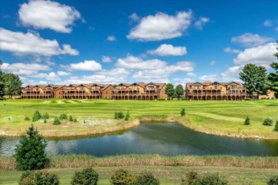 Lake Condo For Sale in Arkdale, Wisconsin