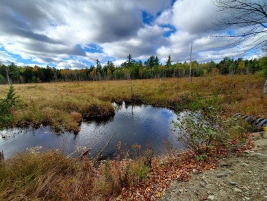  Acreage For Sale in Clifton Maine