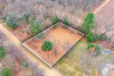 Lake Lot For Sale in Grand Junction, Michigan