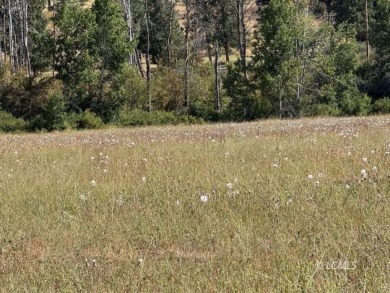Lake Acreage For Sale in Chiloquin, Oregon