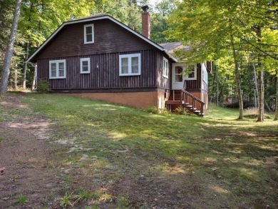 Long Lake - Vilas County Home For Sale in Phelps Wisconsin