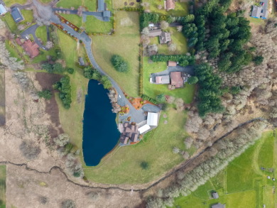 Lakefront Luxury Estate in Lewis County, WA - photo 11