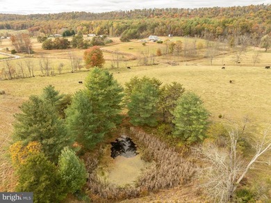 Almost 10 acres, room for Livestock. 3078 sq feet building with - photo 8