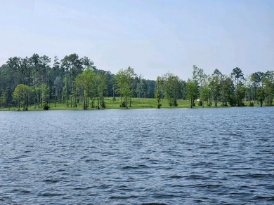 (private lake, pond, coastal) Lot For Sale in Burkeville Texas