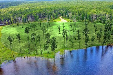 (private lake, pond, coastal) Lot For Sale in Burkeville Texas