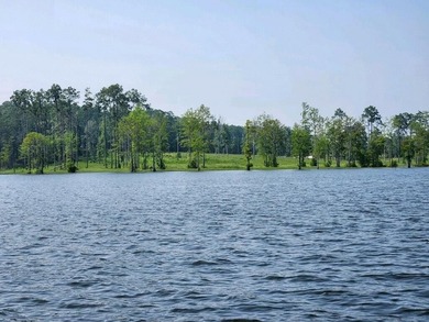 Discover Eagles Landing Estates, an upscale lakefront - photo 2