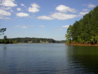 Leesville Lake Waterfront Dockable Lot In Deep Cov - Lake Lot For Sale in Pittsville, Virginia