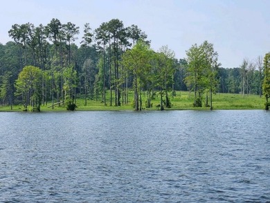 (private lake, pond, coastal) Lot For Sale in Burkeville Texas