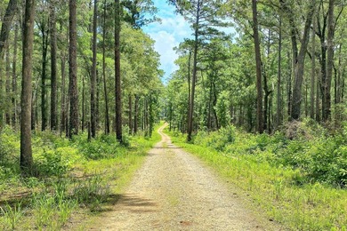 Discover Eagles Landing Estates, an upscale lakefront - photo 5