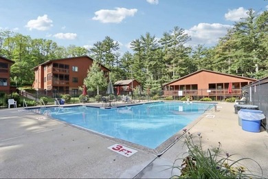 Turn-key opportunity in the heart of Wisconsin Dells?ready to - photo 31