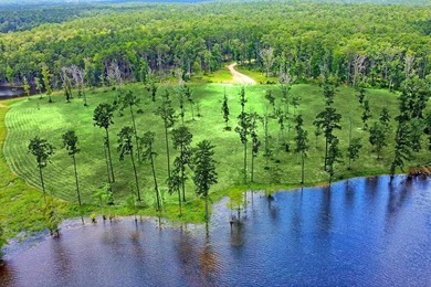 Discover Eagles Landing Estates, an upscale lakefront - photo 2
