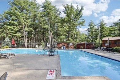 Turn-key opportunity in the heart of Wisconsin Dells?ready to - photo 33