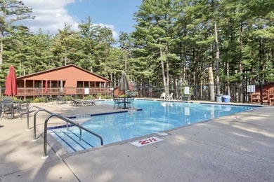 Turn-key opportunity in the heart of Wisconsin Dells?ready to - photo 34