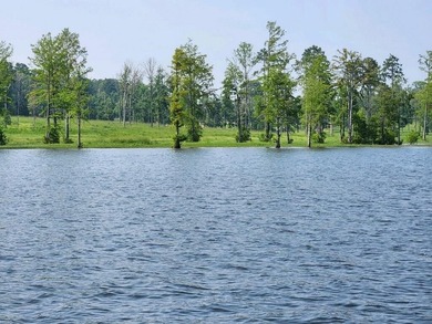 Discover Eagles Landing Estates, an upscale lakefront - photo 5