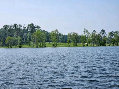 Discover Eagles Landing Estates, an upscale lakefront - photo 6