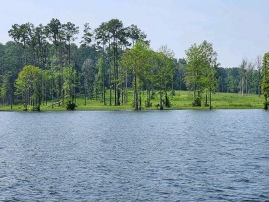 Discover Eagles Landing Estates, an upscale lakefront - photo 8