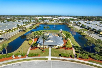 Beautiful home in the gated 55+ community of Alamanda Key! This - photo 38