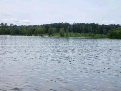 Discover Eagles Landing Estates, an upscale lakefront - photo 9