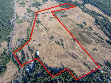 Lake Home For Sale in Selma, Oregon