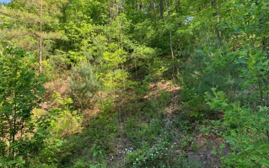 Hiwassee River - Clay County Lot For Sale in Brasstown North Carolina